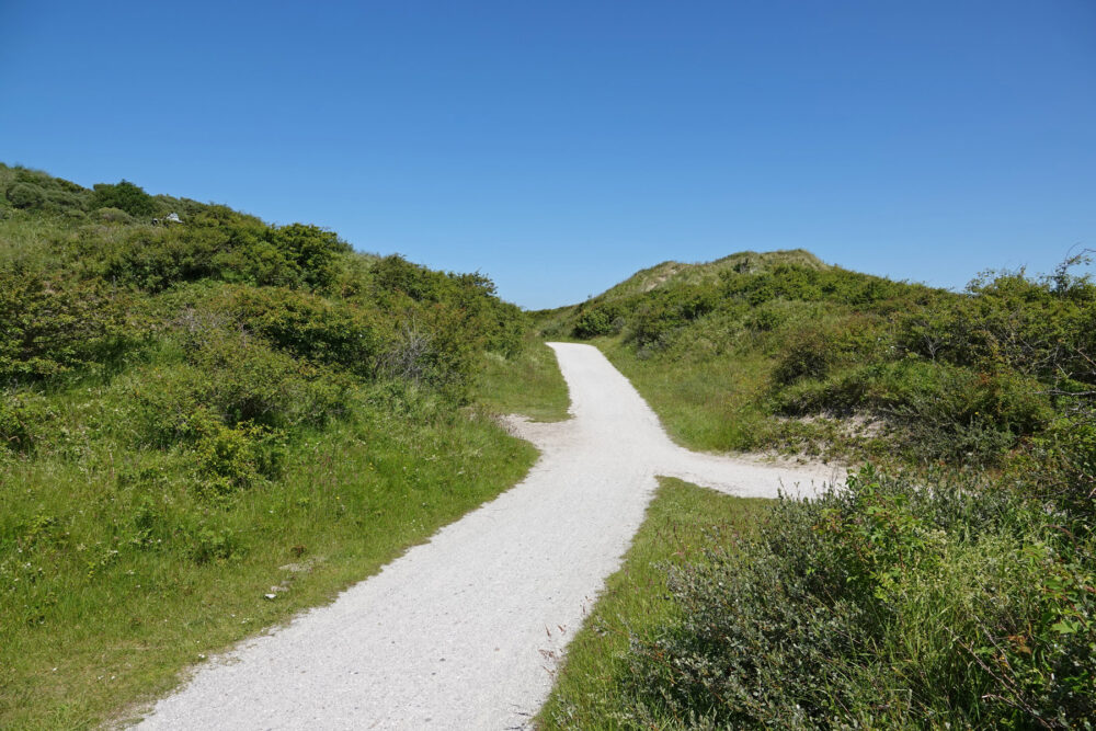 Pad door de duinvalleien (Schiermonnikoog)