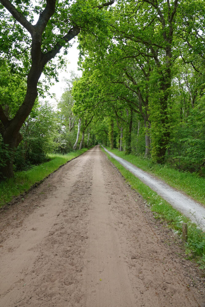 Pad langs Noordlaarderbos