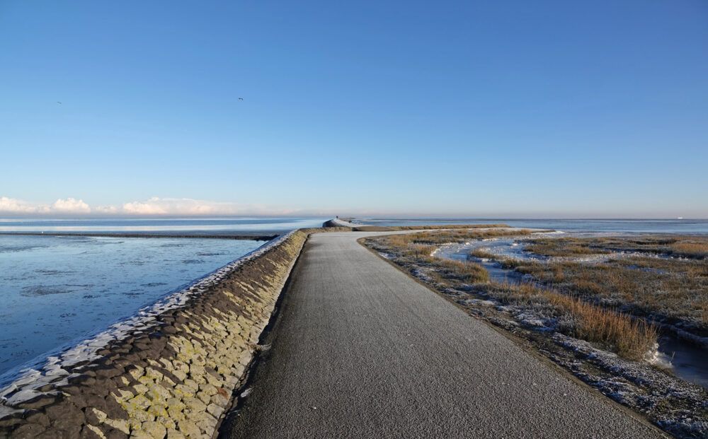 Peazemerlannen in de vorst