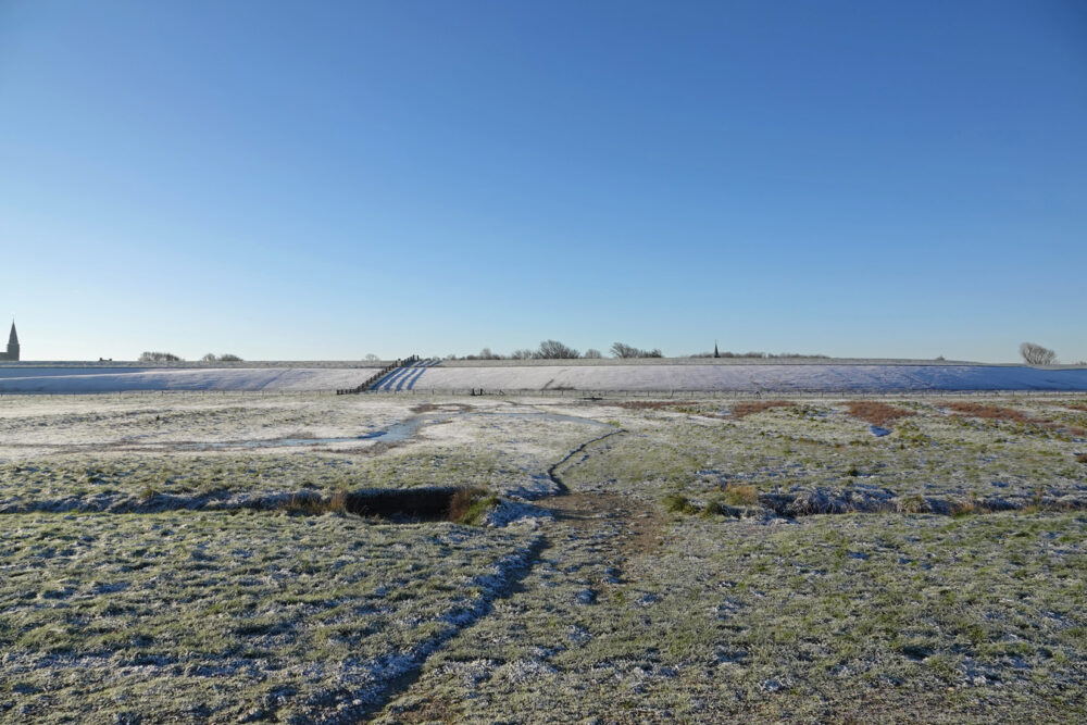 Peazemerlannen in de vorst