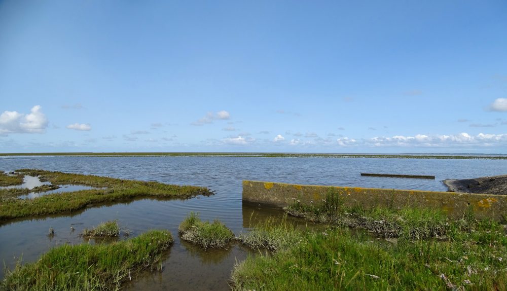 Peazemerlannen (najaar)