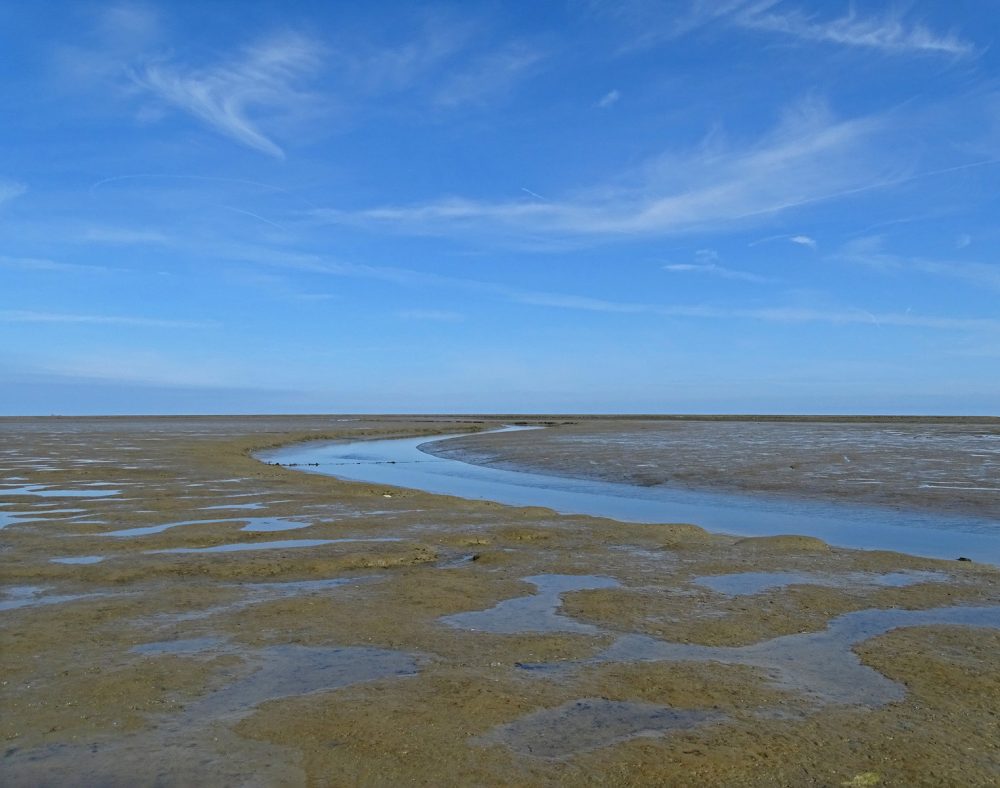 Peazemerlannen wad