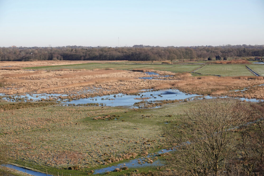 Peizer-en Eeldermaden in de winter vanuit de uitkijktoren Onlanden