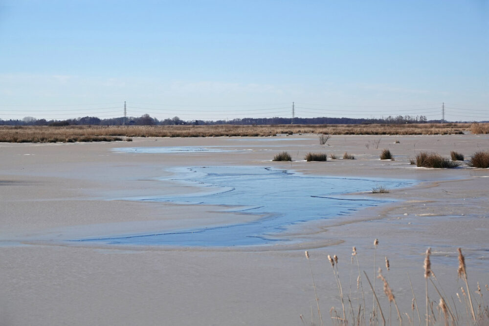 Peizerweering in de winter (Onlanden)