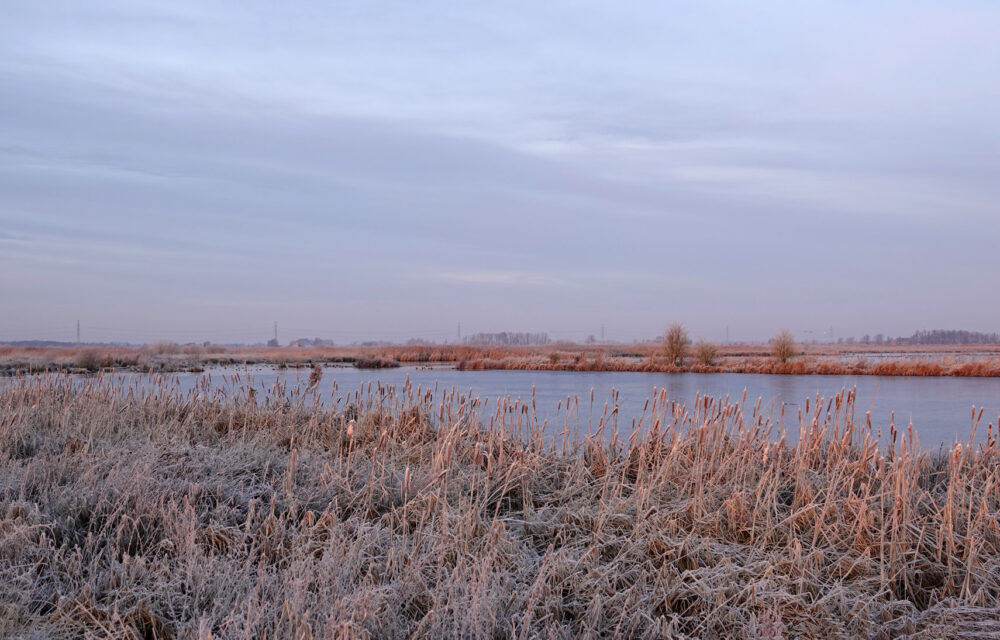 Peizerweering in de winter (Onlanden)
