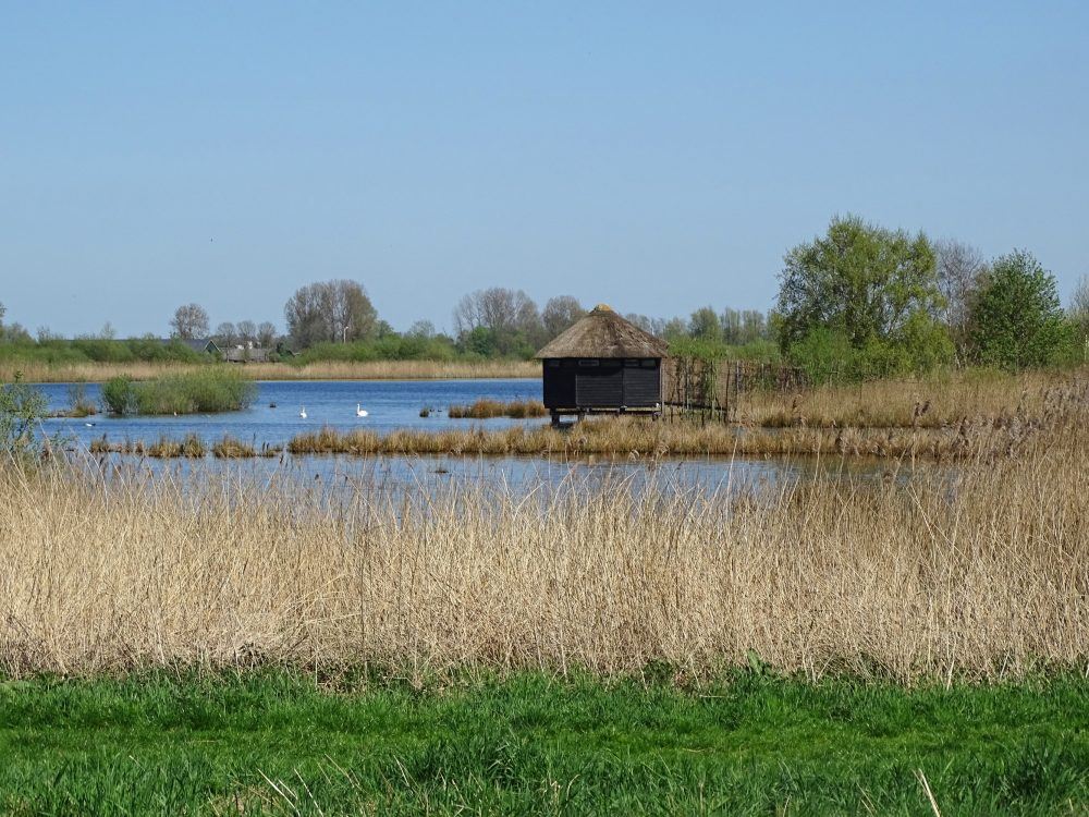 Petgatten de Feanhoop (Kraanlannen)