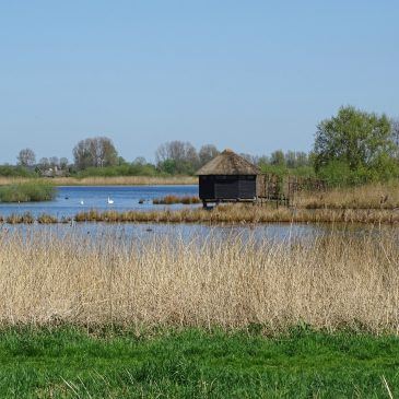 Petgatten de Feanhoop