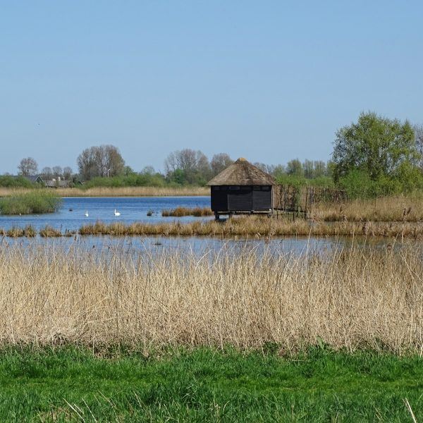 Petgatten de Feanhoop