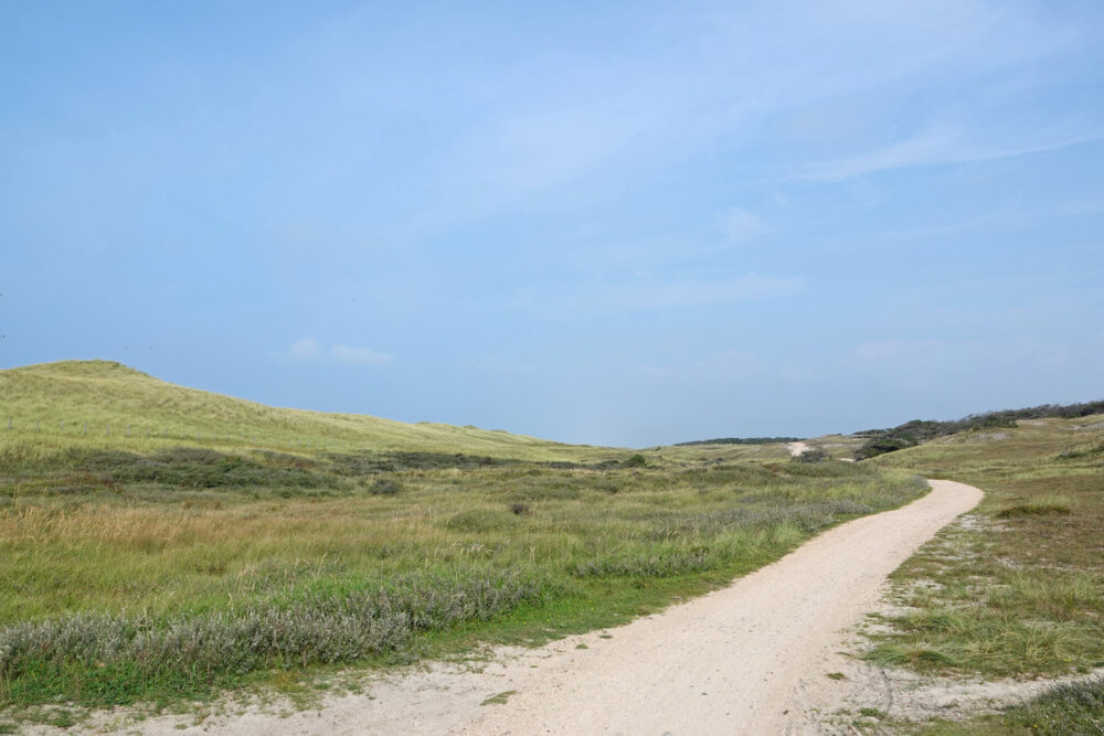 Pettemerduinen
