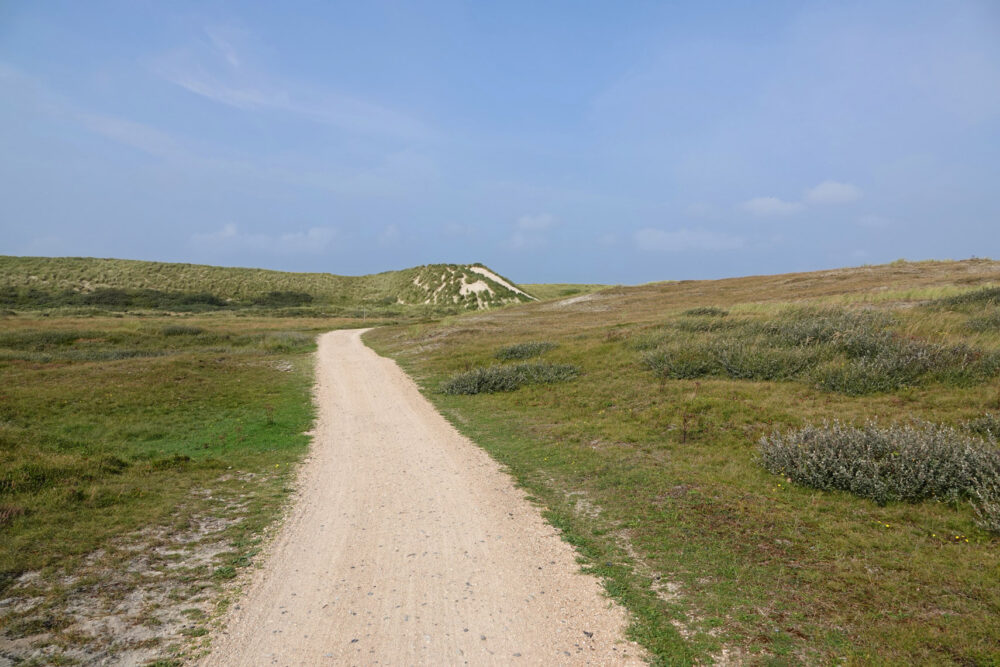 Pettemerduinen