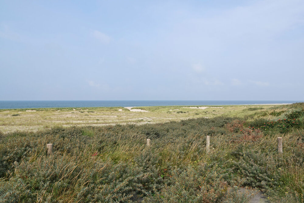 Pettemerduinen