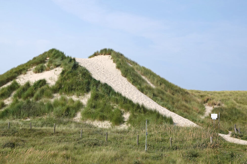 Pettemerduinen
