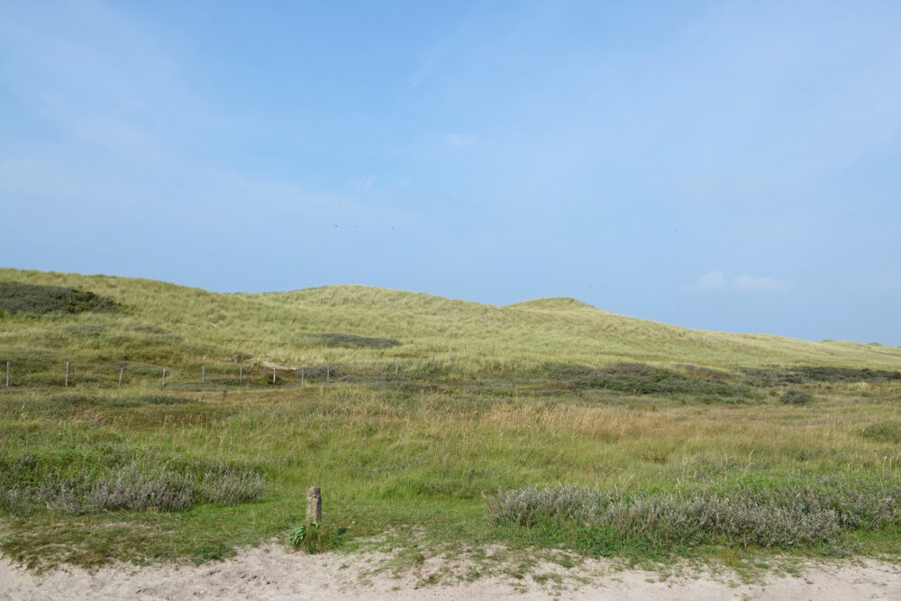 Pettemerduinen