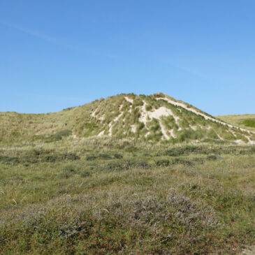 Pettemerduinen