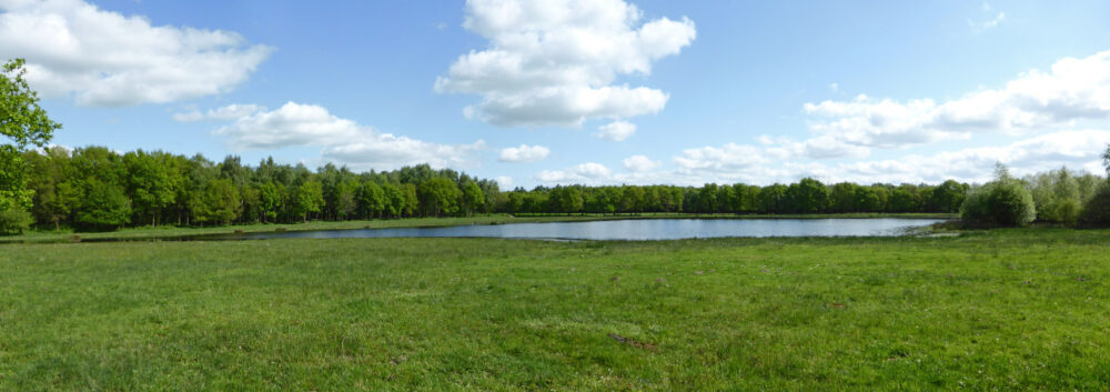 Plas in de Delleboersterheide