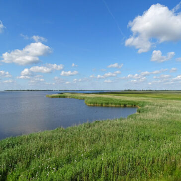 Vlinderbalg (Lauwersmeer)