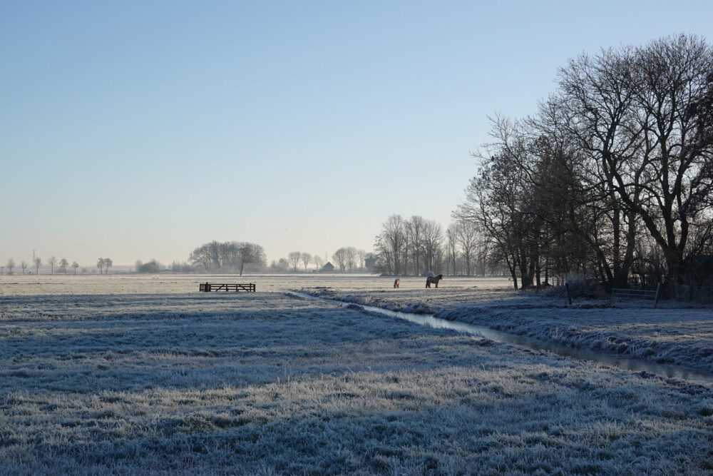 Polder Lage Land in de winter (Onlanden)