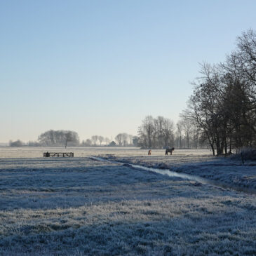 Polder Lage Land (Onlanden)
