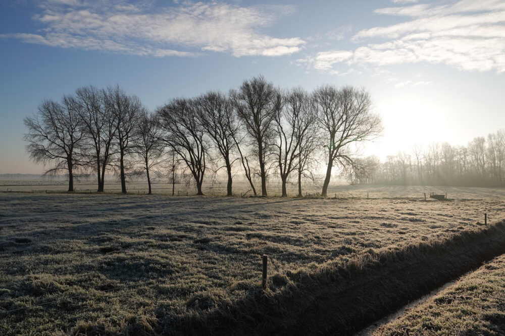 Polder Roderwolde in de winter (Onlanden)