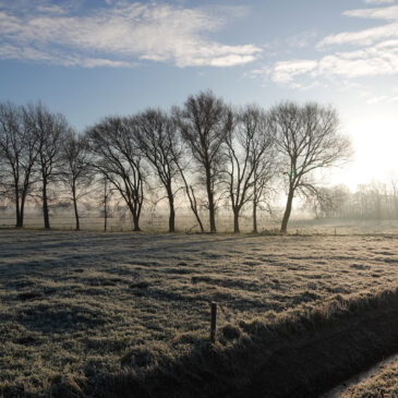 Polder Roderwolde (Onlanden)