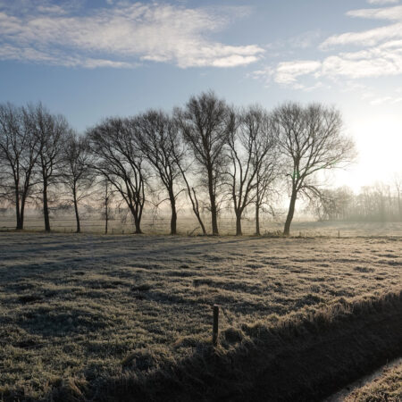 Polder Roderwolde (Onlanden)
