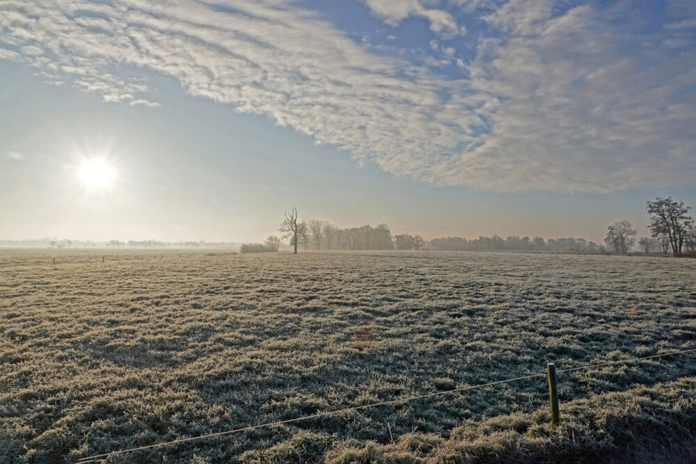 Polder Roderwolde in de winter (Onlanden)