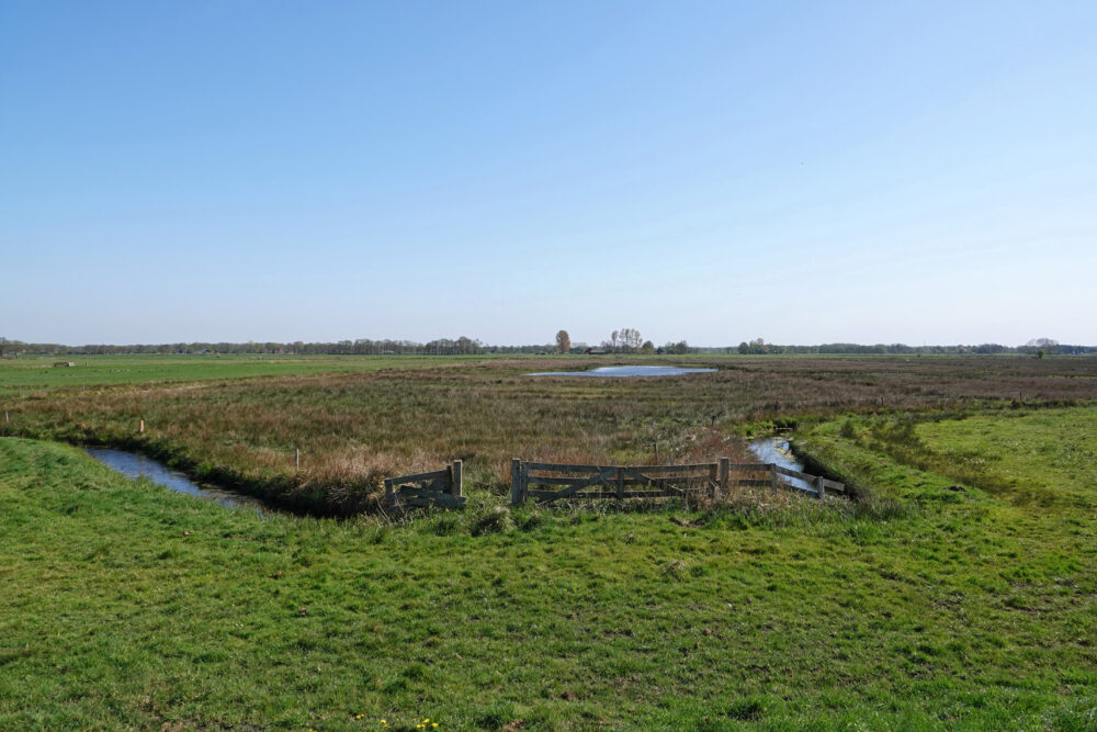 Polder Sandebuur (Onlanden)