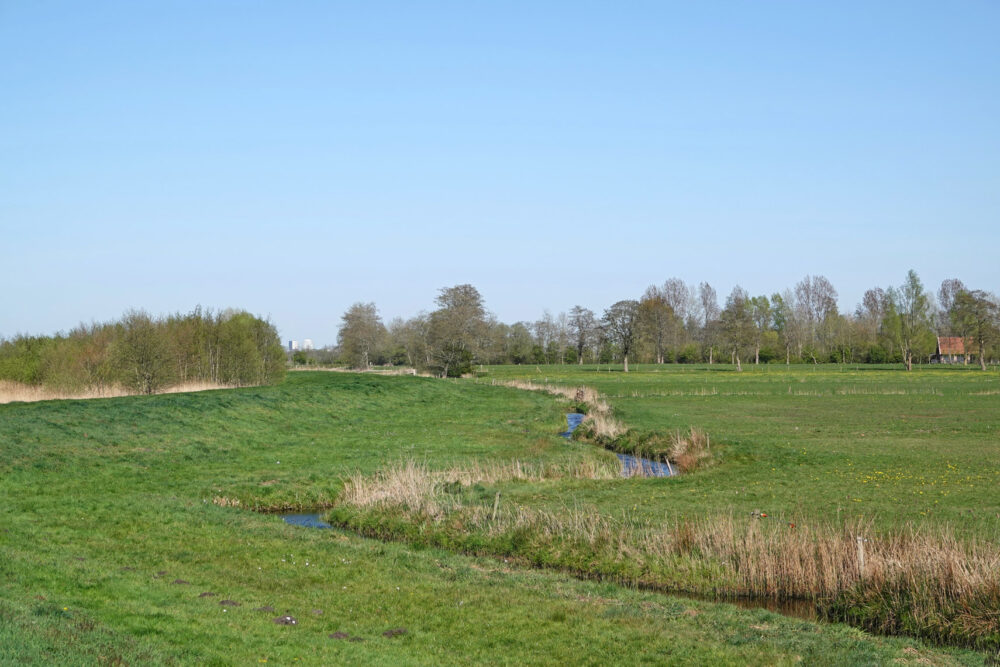 Polder Sandebuur (Onlanden)