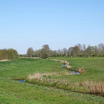 Polder Sandebuur (Onlanden)