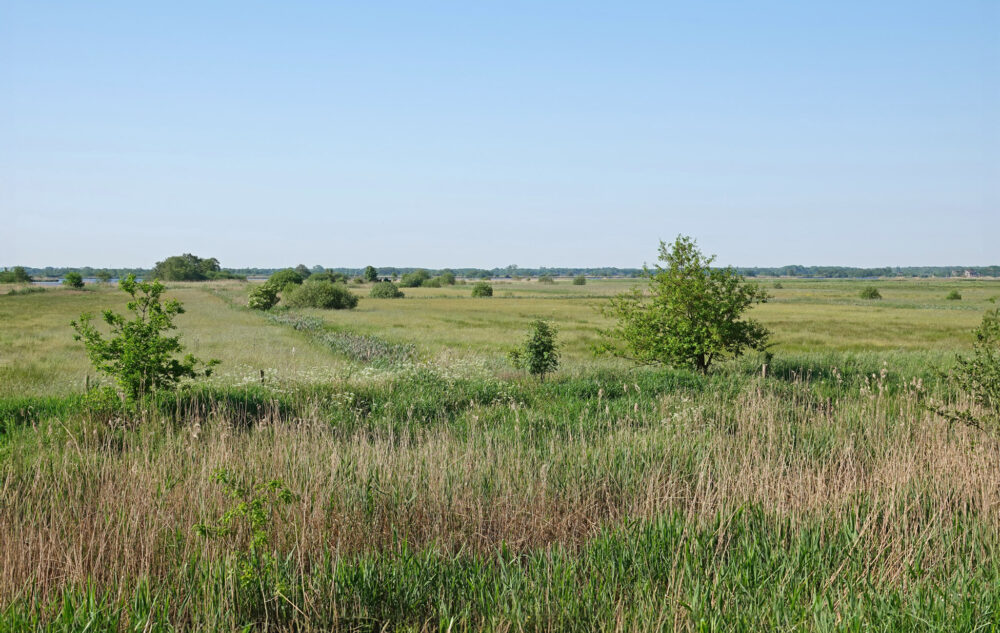 Polder Vredewold