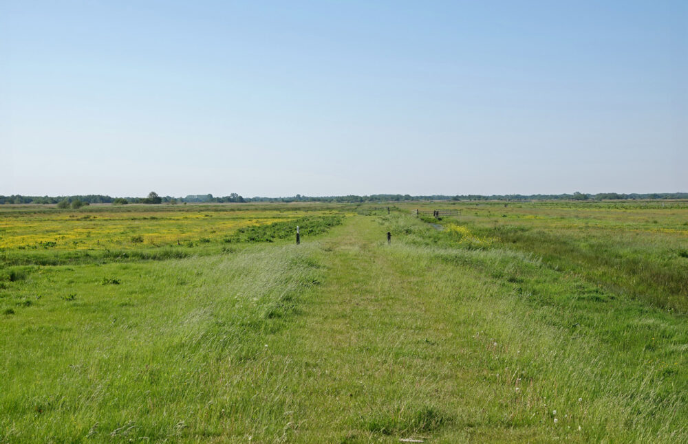 Polder Vredewold