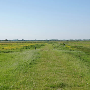 Polder Vredewold