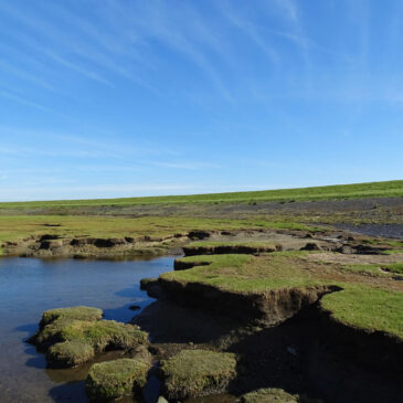 Punt van Reide (Waddenzee)