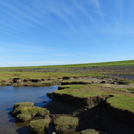 Punt van Reide (Waddenzee)