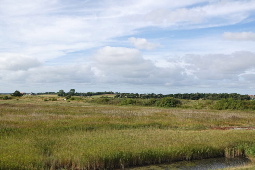 Redoute (Texel)