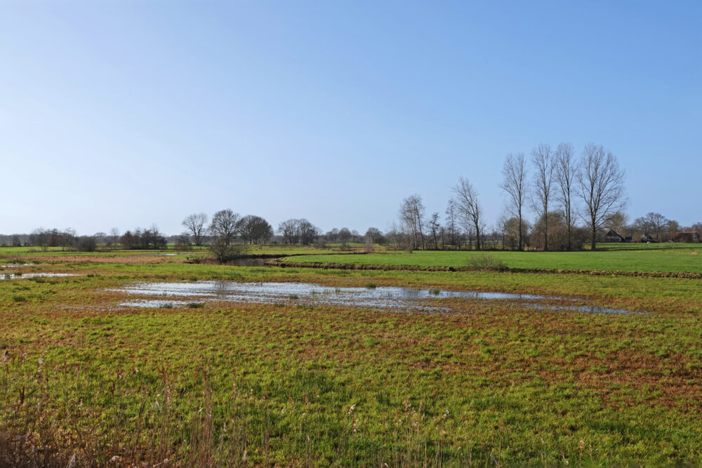 Reestdal in de winter