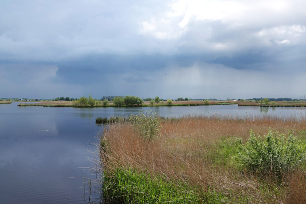 Regen boven Onlanden (vanaf Langameer)
