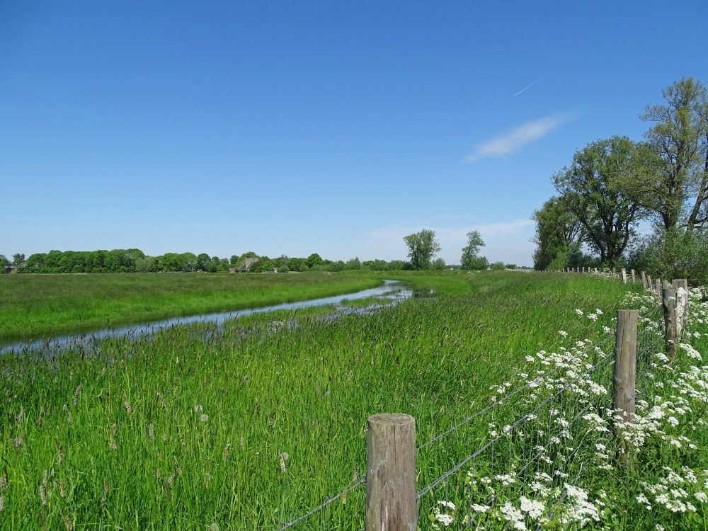 Reitdiep