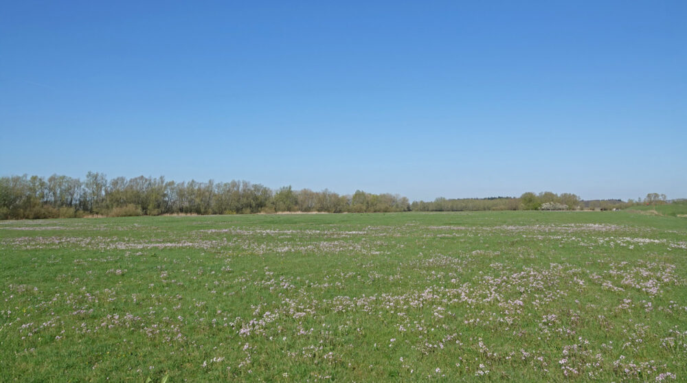 Roetwaarden (IJsselvallei)