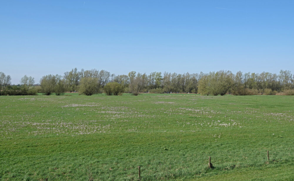 Roetwaarden (IJsselvallei)