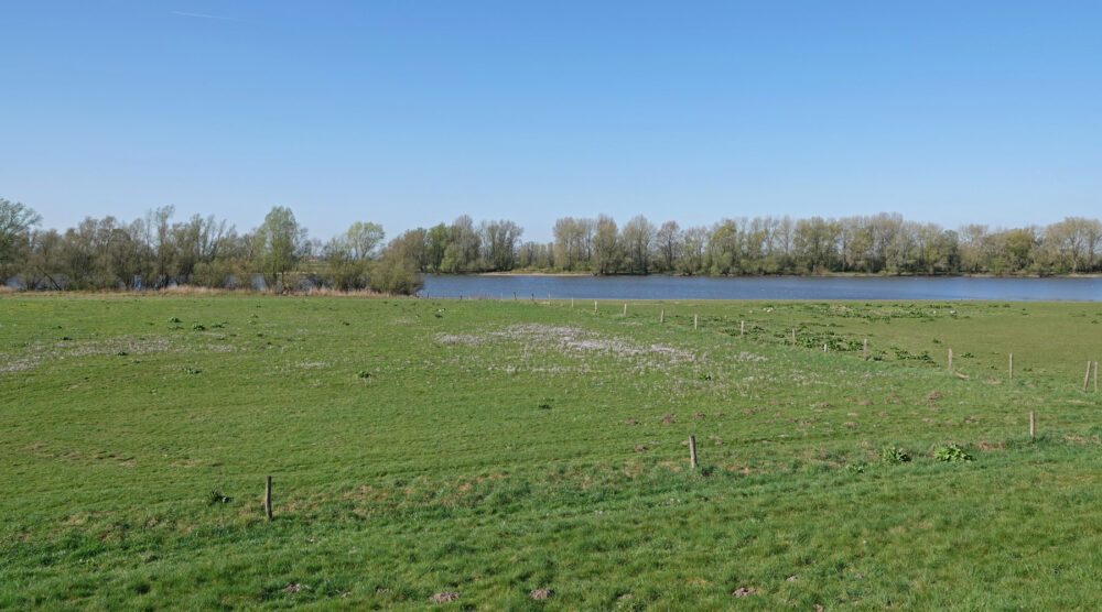 Roetwaarden (IJsselvallei)