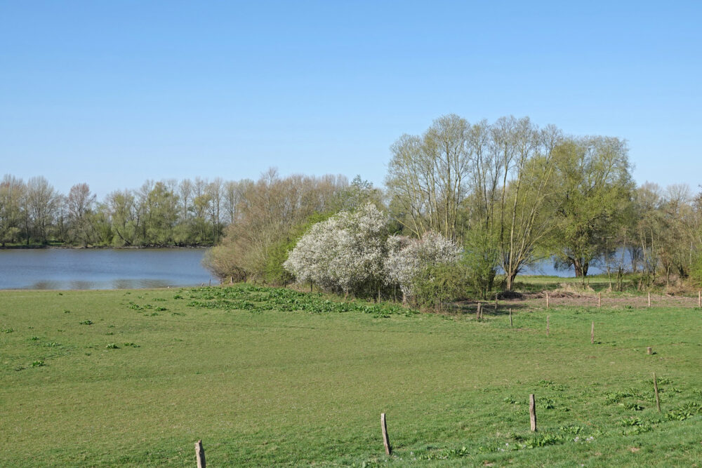 Roetwaarden (IJsselvallei)