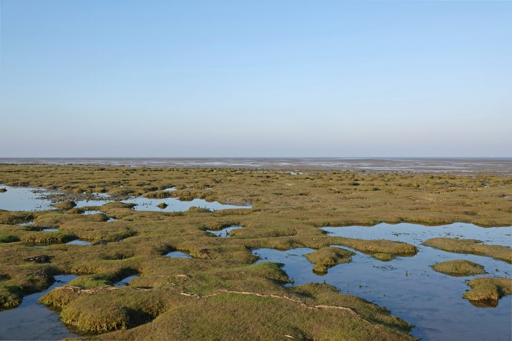 Rommelhoek (Eemshaven)