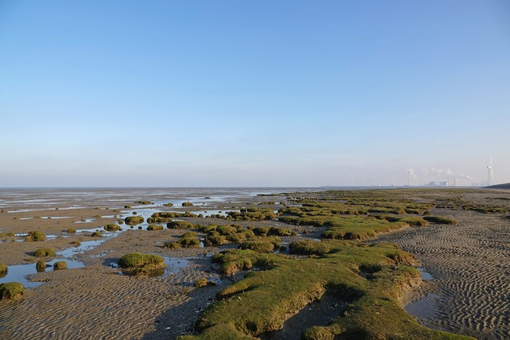 Rommelhoek (Eemshaven)
