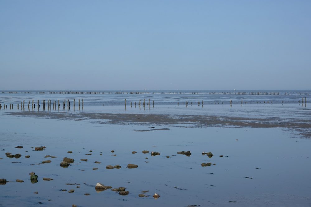 Rommelhoek in het najaar