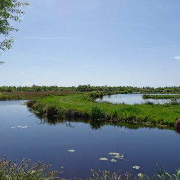 Rottige Meente (Friesland)