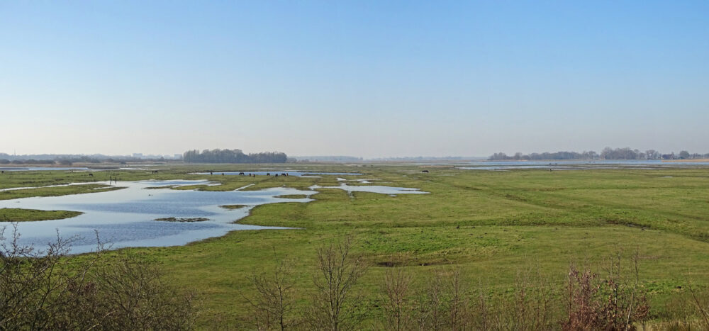 Ryptsjerksterpolder