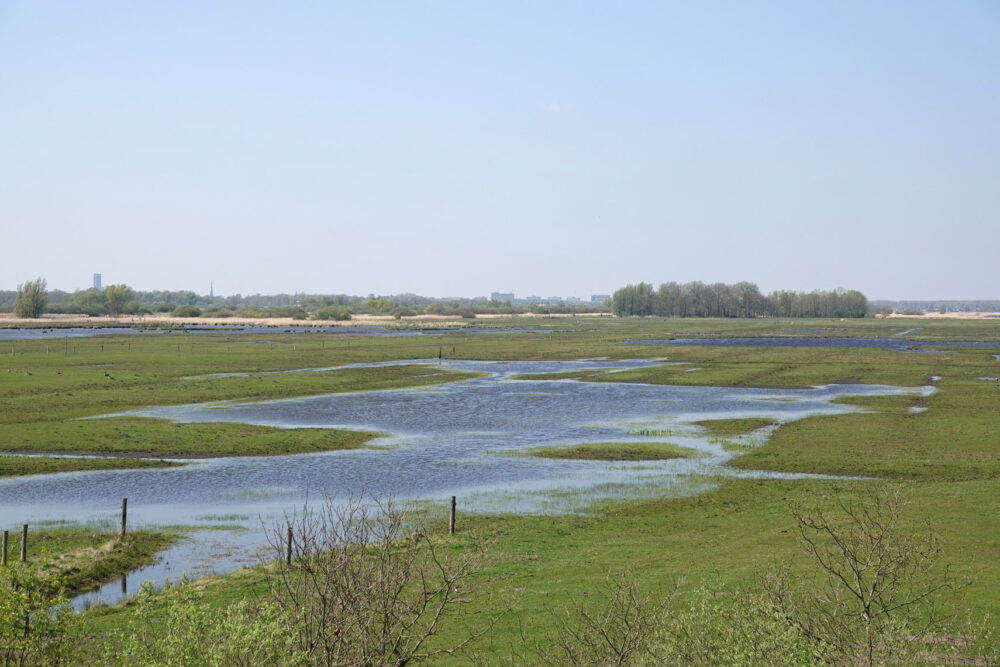 Ryptsjerksterpolder