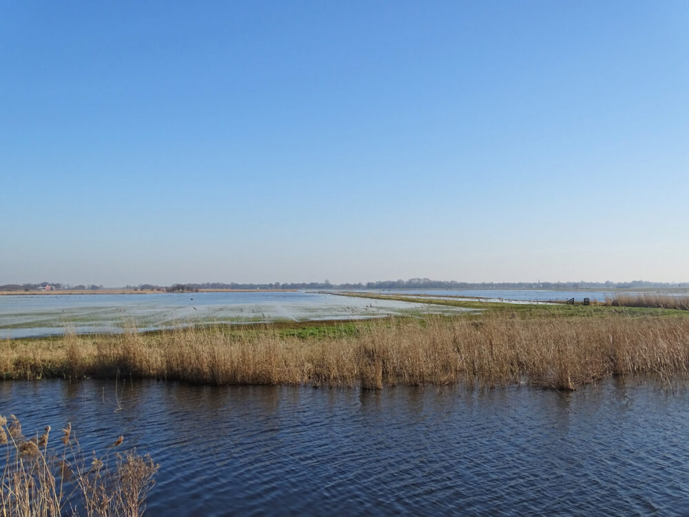 Ryptsjerksterpolder