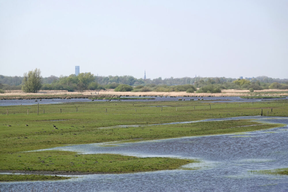Ryptsjerksterpolder_